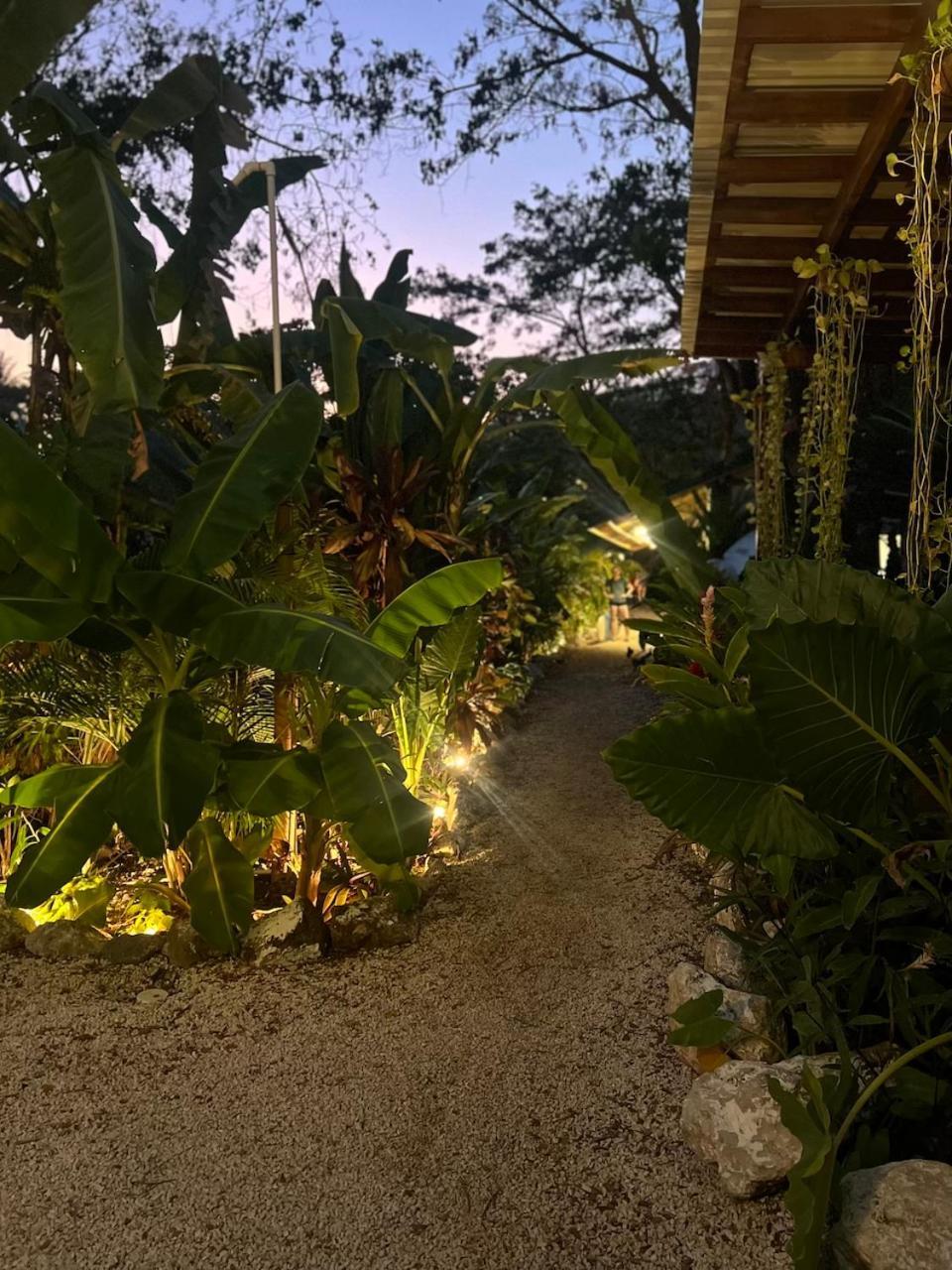 بيت شباب Dream Surf House Santa Teresa Playa Hermosa Cobano المظهر الخارجي الصورة
