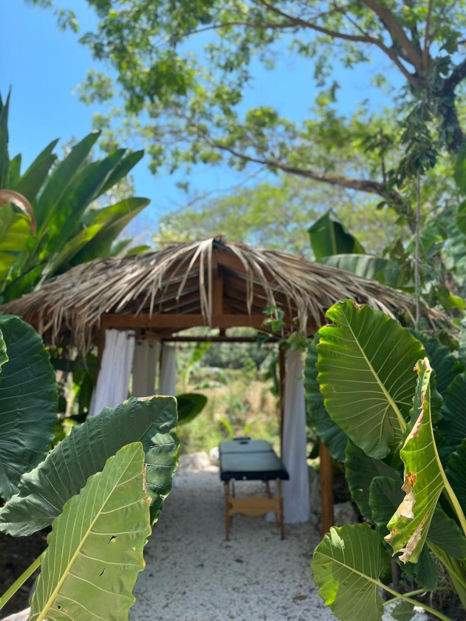 بيت شباب Dream Surf House Santa Teresa Playa Hermosa Cobano المظهر الخارجي الصورة