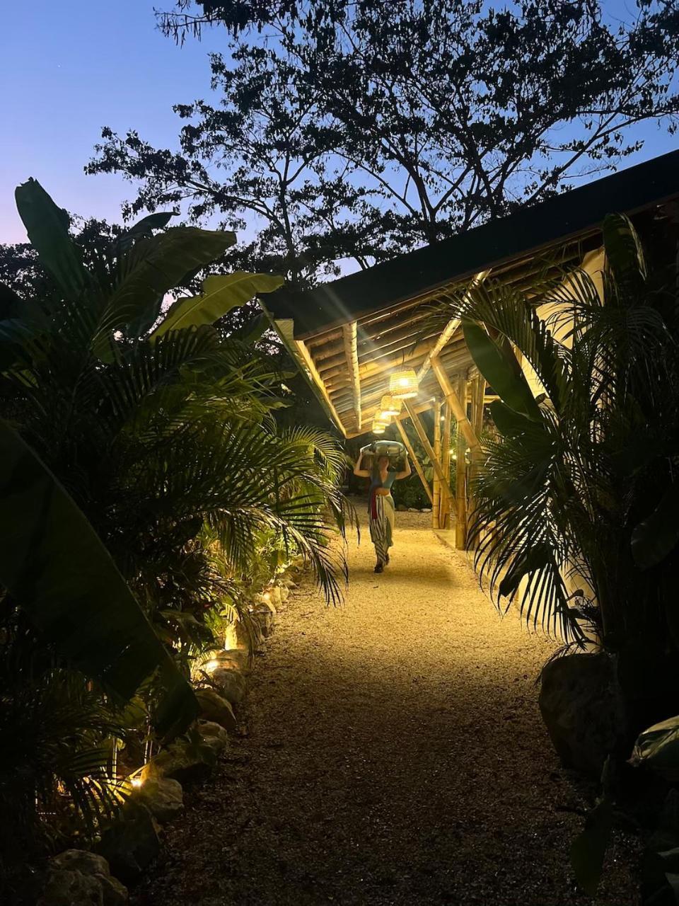 بيت شباب Dream Surf House Santa Teresa Playa Hermosa Cobano المظهر الخارجي الصورة
