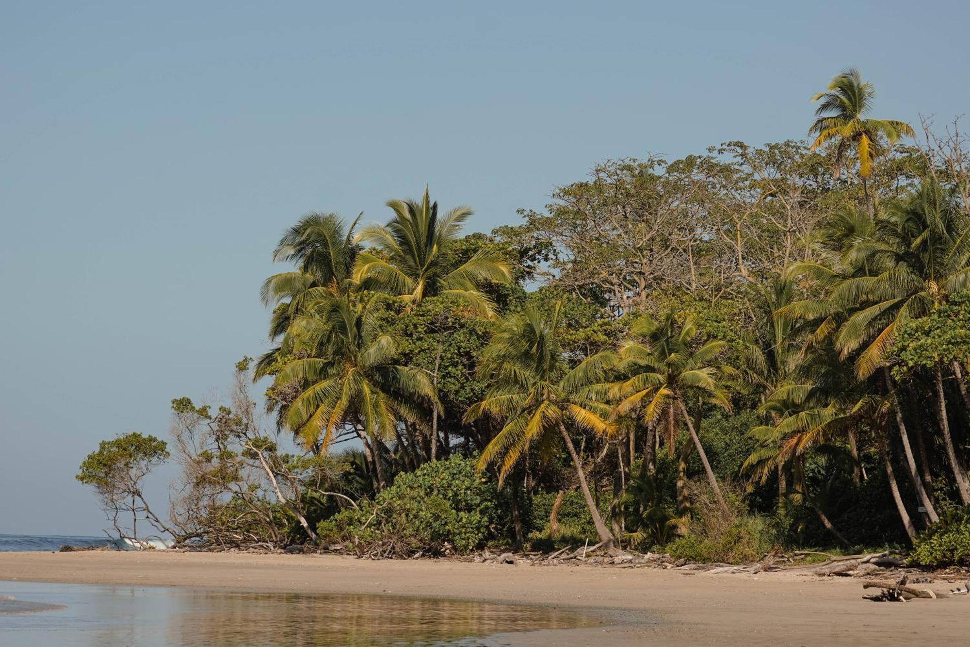 بيت شباب Dream Surf House Santa Teresa Playa Hermosa Cobano المظهر الخارجي الصورة