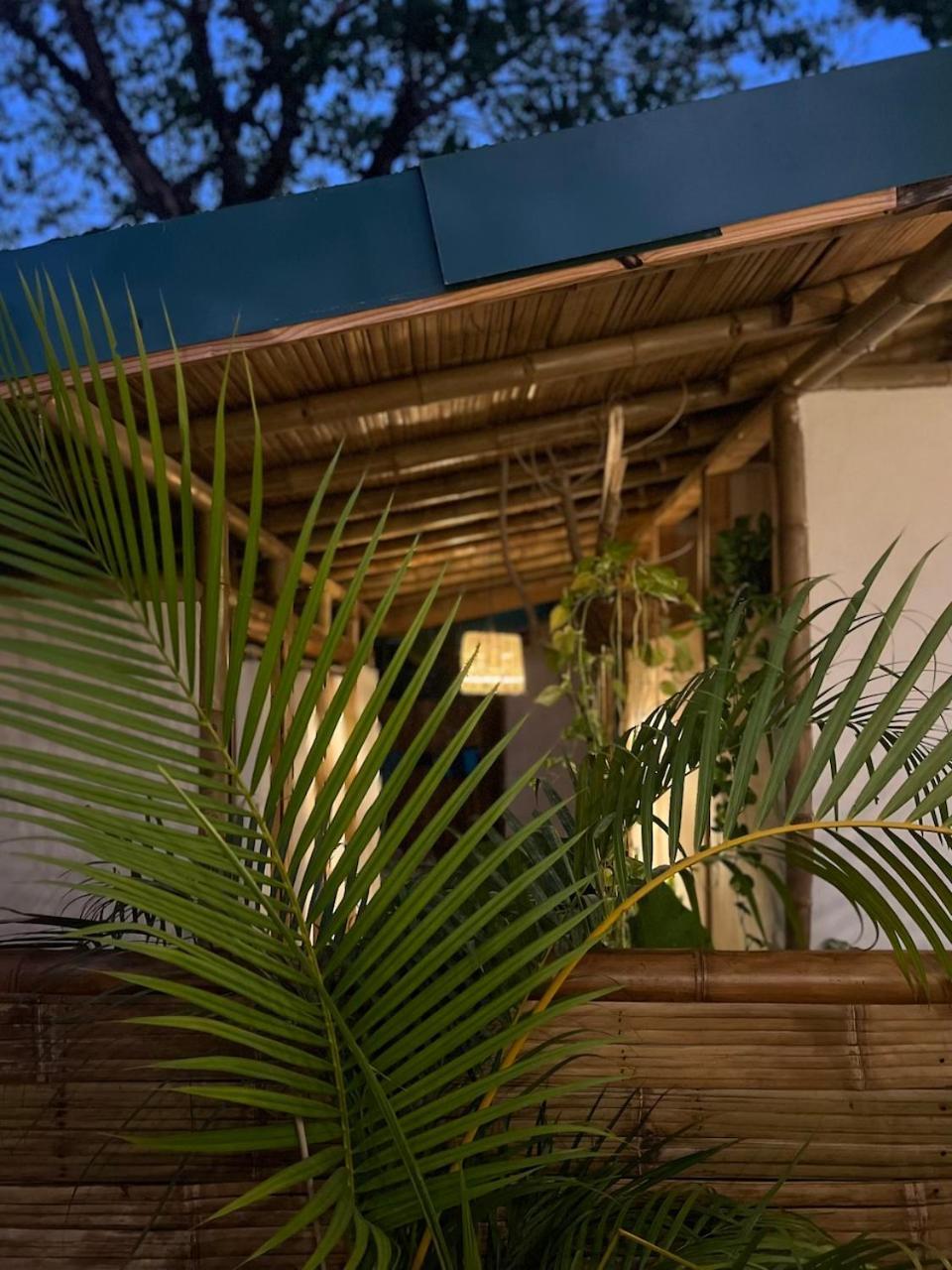 بيت شباب Dream Surf House Santa Teresa Playa Hermosa Cobano المظهر الخارجي الصورة