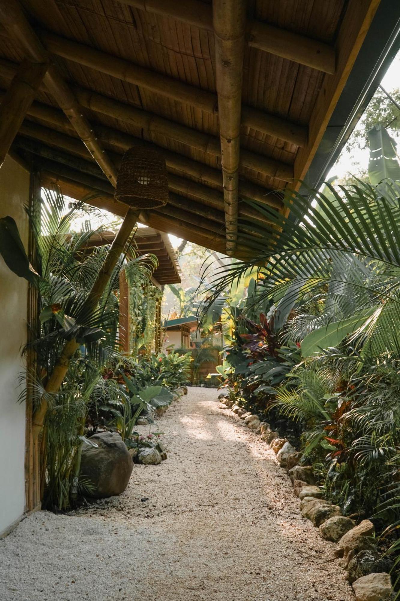 بيت شباب Dream Surf House Santa Teresa Playa Hermosa Cobano المظهر الخارجي الصورة