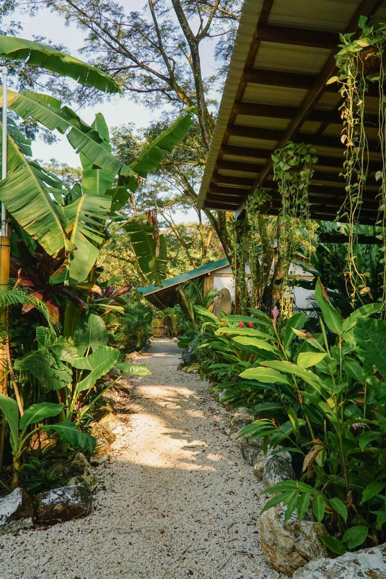 بيت شباب Dream Surf House Santa Teresa Playa Hermosa Cobano المظهر الخارجي الصورة