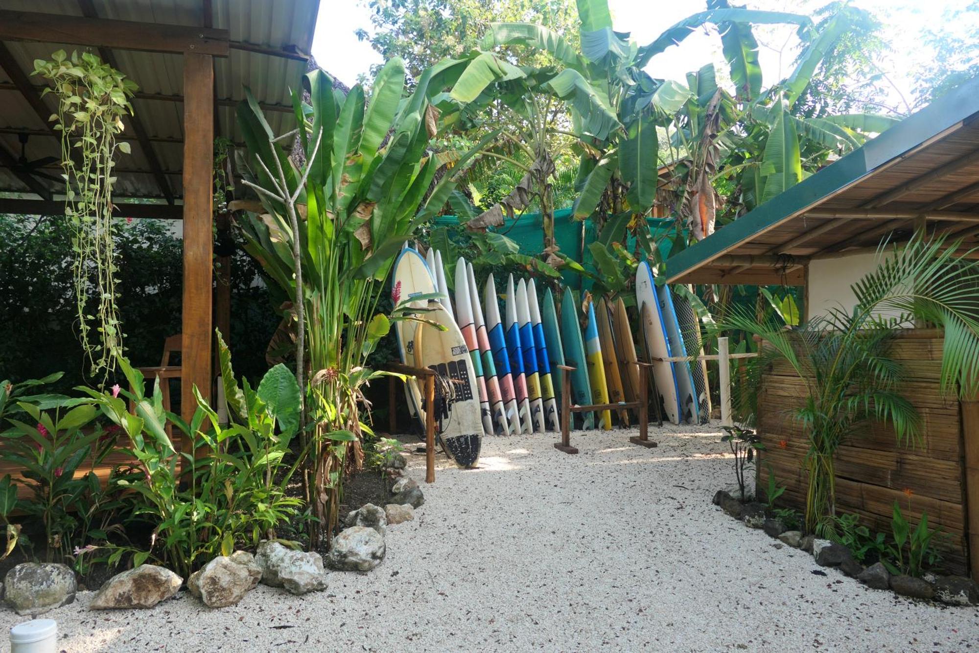 بيت شباب Dream Surf House Santa Teresa Playa Hermosa Cobano المظهر الخارجي الصورة