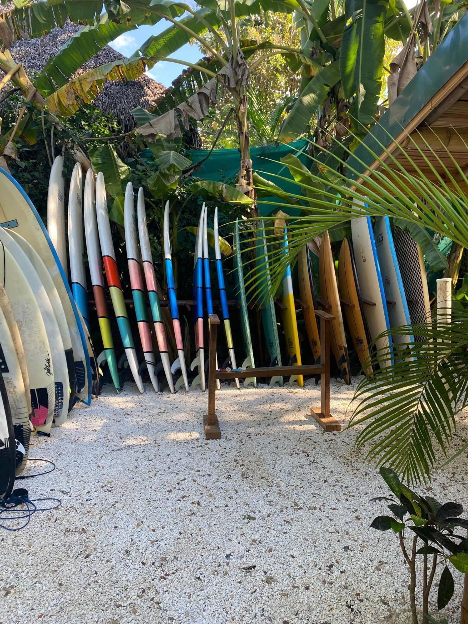 بيت شباب Dream Surf House Santa Teresa Playa Hermosa Cobano المظهر الخارجي الصورة